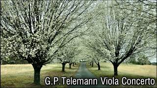 Telemann - Viola Concerto in G Major III Andante (Piano Accompaniment) (3/4)