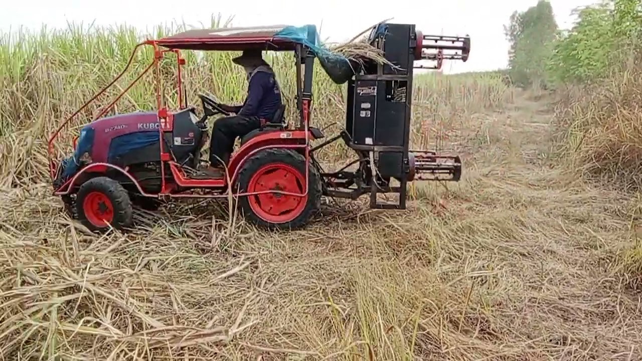 ดูรถสางใบอ้อยค่ะ