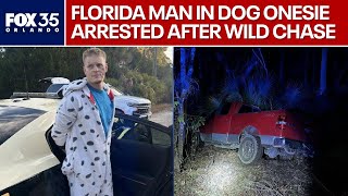 Florida man in Dalmatian onesie arrested after wild chase