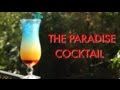 How to make a paradise tropical layered cocktail  drinks made easy