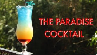 How To Make A Paradise Tropical Layered Cocktail | Drinks Made Easy screenshot 1