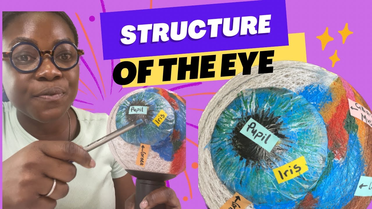 Structure of the Eye and it’s Functions - YouTube