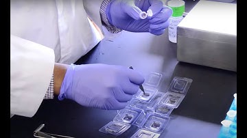 How to Embed in OCT for cryostat sectioning using Seal