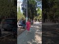 Крахмалистый 🙊 Макетчик