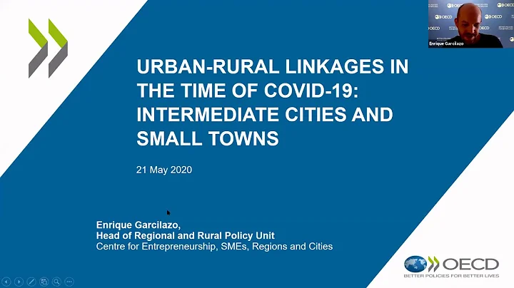 Webinar 3 - Enrique Garcilazo OECD (Small and Inte...