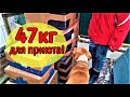 Распаковка огромной посылки продолжается!!! 47 кг. подарков для приюта бездомных животных!