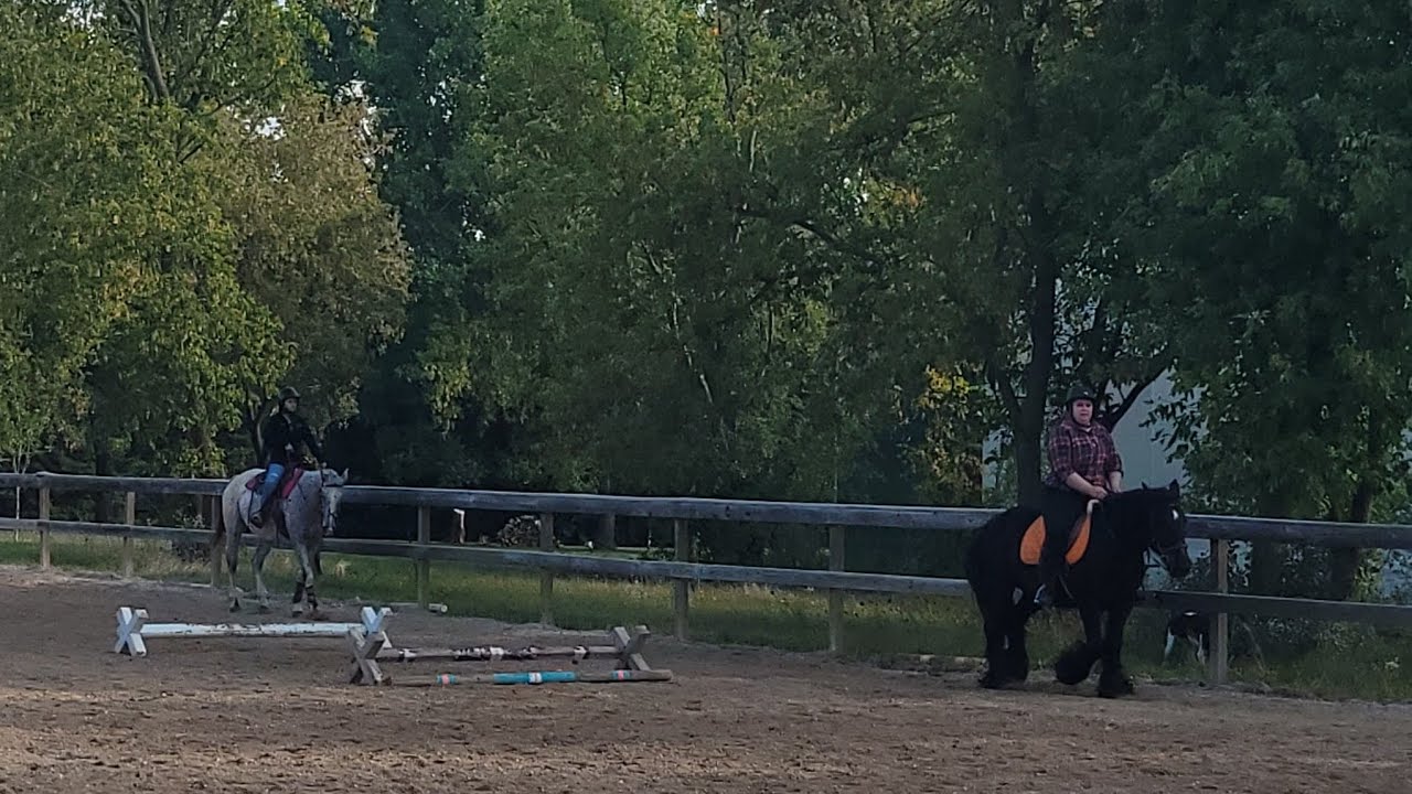 Lucky Stables Field Trip