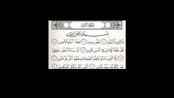 سورة التين - الشيخ علي الحذيفي
