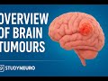 Overview of Brain Tumours | StudyNeuro Lecture Series — Classification, Diagnosis & Key Concepts
