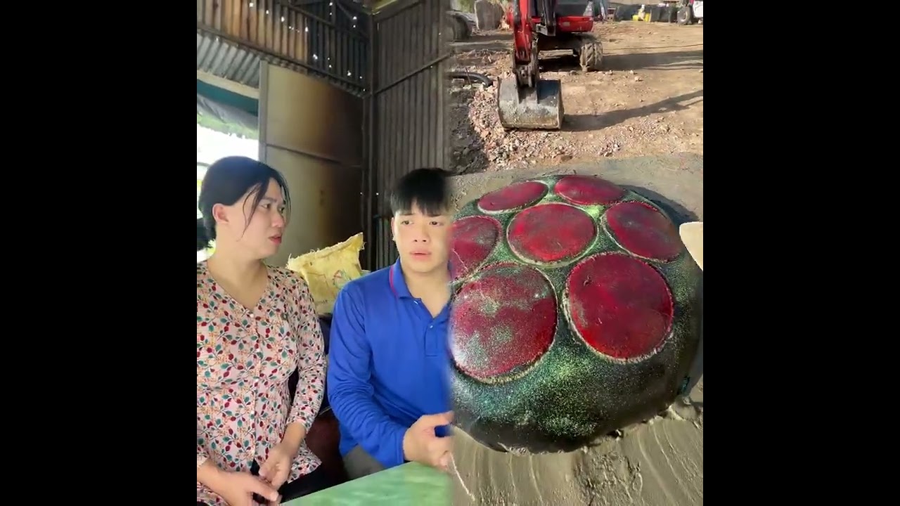 🤣👌👌👌2025 pov Must-Watch Crazy Clips Compilation #humor #fypシ #pov #fyp #foryou 😍😜