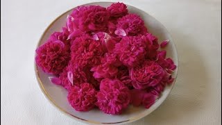 How to make Water from Roses Easy way