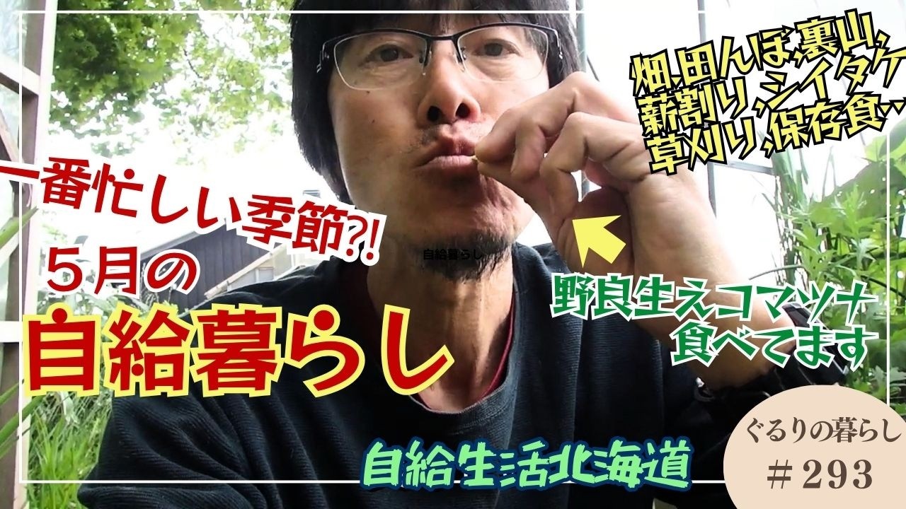 初夏の自給暮らし【ぐるりの暮らし#293】5月は自給的な暮らしにおいて一番忙しい季節です