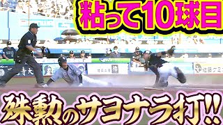 【粘って10球目】高部瑛斗『プロ初サヨナラ打で“歓喜のシャワー”』