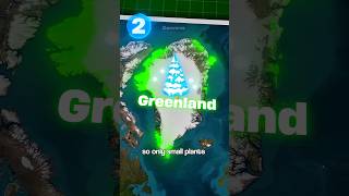 Countries That Almost No Trees At All