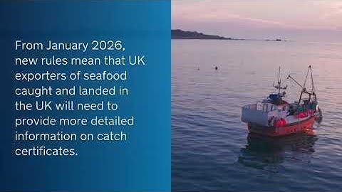 Fish, Trace, Ship - Catch Certificates