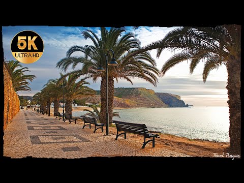 Vídeo: Na praia da luz?