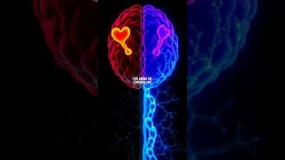 Love vs. OCD: How Your Brain Looks the Same in an fMRI Scan