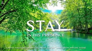 Stay In His Presence: Instrumental Worship & Prayer Music with Nature🌿CHRISTIAN piano by CHRISTIAN Piano 3,913 views 3 weeks ago 3 hours, 24 minutes