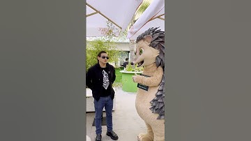 Interview at Web Summit Lisbon