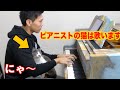 ピアニストの猫は歌うようになります/Pianist cat sings