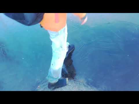 Video: Hur Man Bryter Igenom Isen