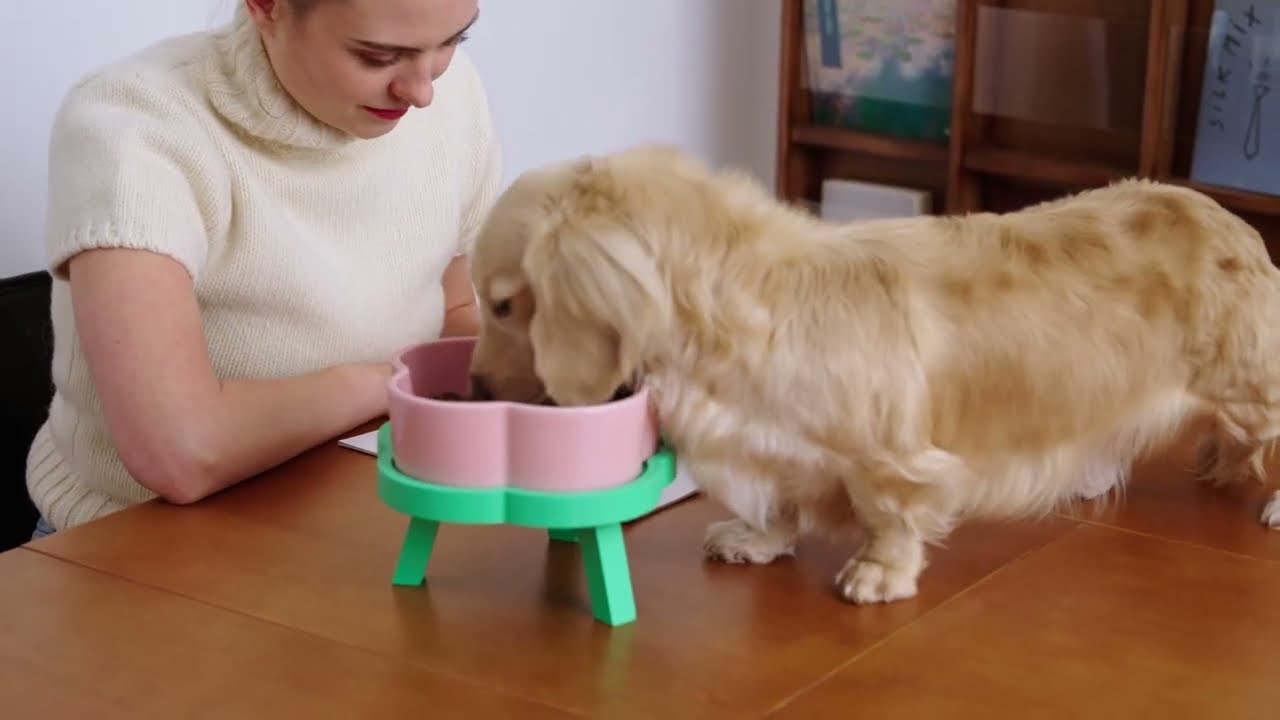 Cutest Ceramic Bowl Ever VETRESKA Flora Ceramic Pet Bowl