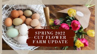 Cut flower farm 2022 plans, Seedling rack tour + Healthy meal idea