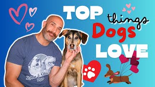 10 Things Dogs LOVE Most ❤