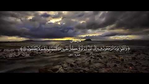 حالات قران كريم || القارئ ادريس ابكر || اجمل حالات واتس اب دينية || تلاوة خاشعة
