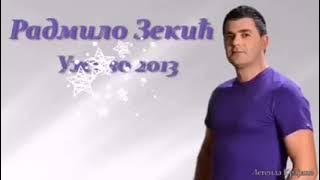 Radmilo Zekic - Otvor prozor curice malena - Uživo 2013