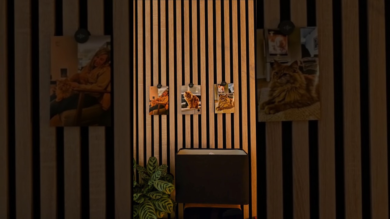 Magnet Clips (WallTune)