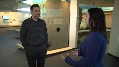 Family's home infested with over 100 snakes