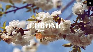 Old School Type Beat &quot;Chronic&quot; Dr. Dre/G-Funk Instrumental