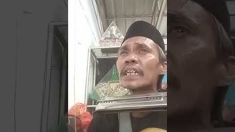 SORE TUGU PANCORAN/H.Iwan Fals #songs #cover #music #fyp #viral #trending #best #indonesia #tvmusic 