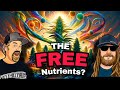 What are the free nutrients understanding cannabis feed misconceptions