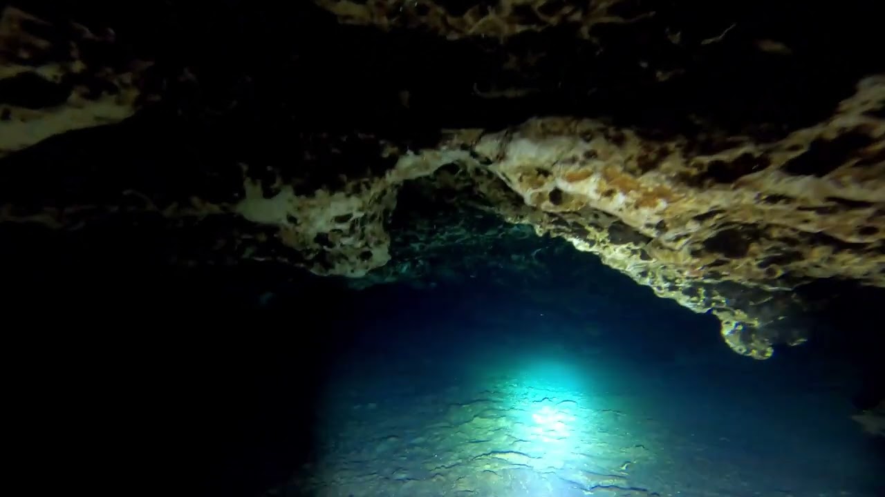 OrcaTorch DL570-GL DEMO!