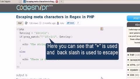 PHP tutorial :Escaping meta characters in Regex in PHP