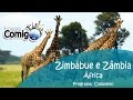 Safáris por Zimbábue, Zâmbia e Botsuana | PROGRAMA Viaje Comigo