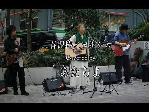 あたらよ「春泥棒／ヨルシカ（カバー）」4K Re-Edit ver. 路上ライブ@渋谷北谷公園（2023年3月12日）