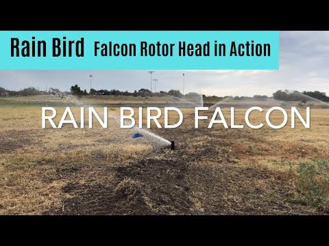 Rain Bird Falcon 6504 Rotor Heads in Action