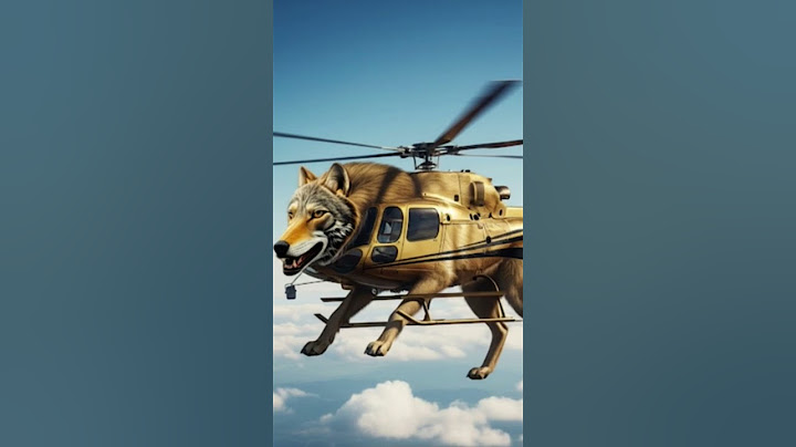 Golden wolf