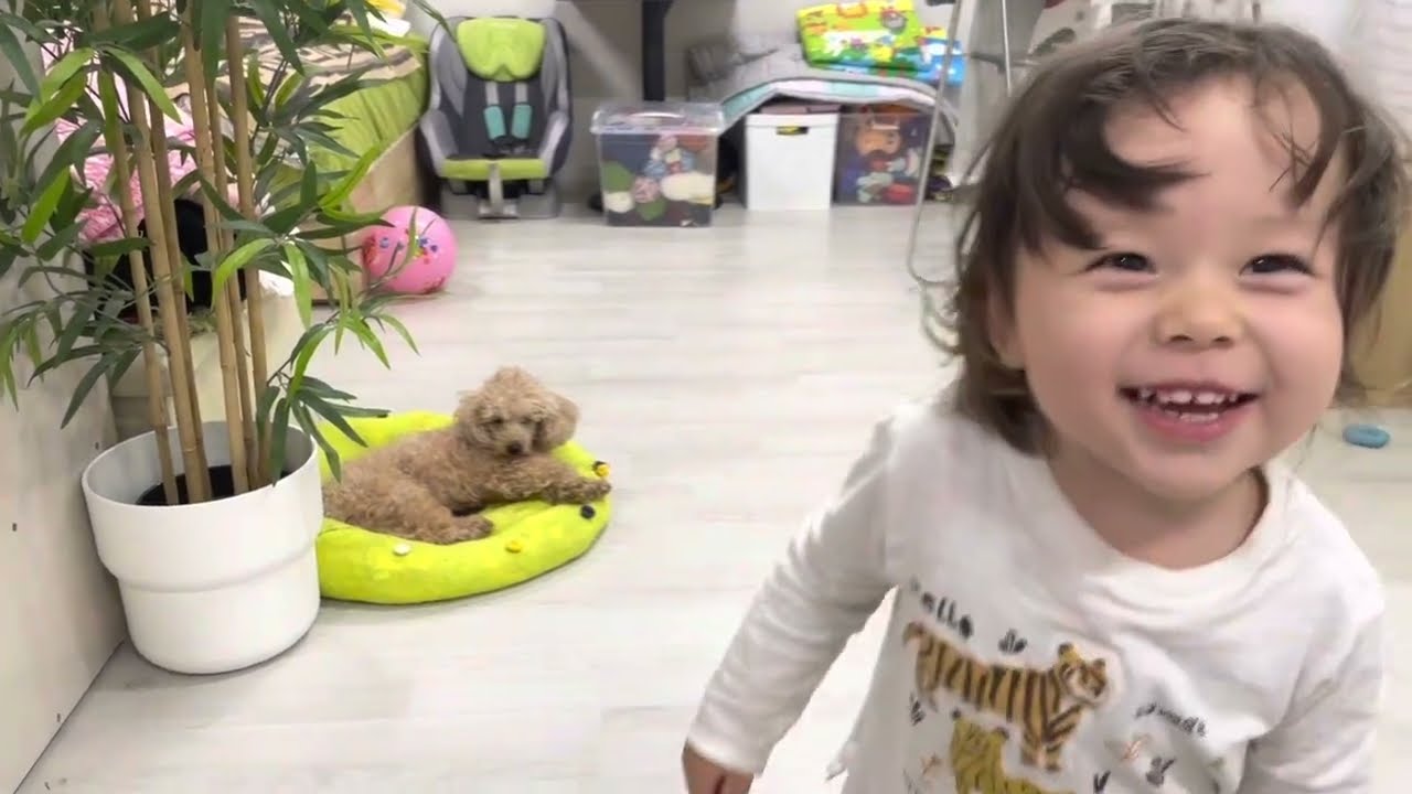 Южная Корея.🏠Деревенька/Асоль пока дома/Заготовка на зиму/Заморозка/Асоль разошлась/Примерка шляпок