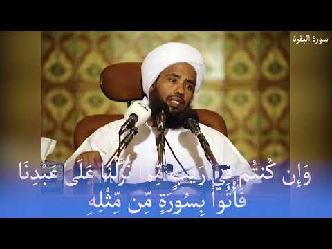 تفسير و إ ن ك نت م ف ي ر ي ب م م ا ن ز ل ن ا ع ل ى ع ب د ن ا ف أ ت وا ب س ور ة م ن م ث له