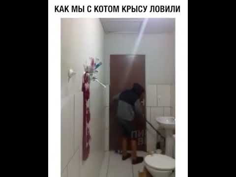 парень с котом фото онлайн