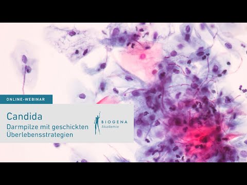 Candida - Darmpilze mit geschickten Überlebensstrategien | Webinar mit Sonja Winkelströter