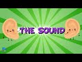 THE SOUND | A Fun Educational Video for Kids