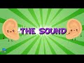 Understanding Sound