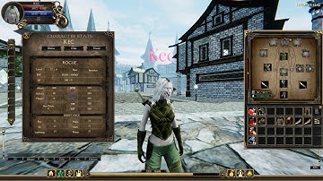 Asteidus Gameplay - Inventory system