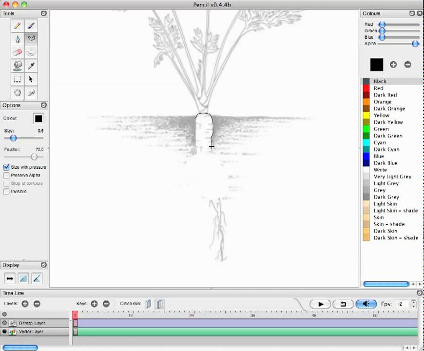 Download vector layer and fill - YouTube