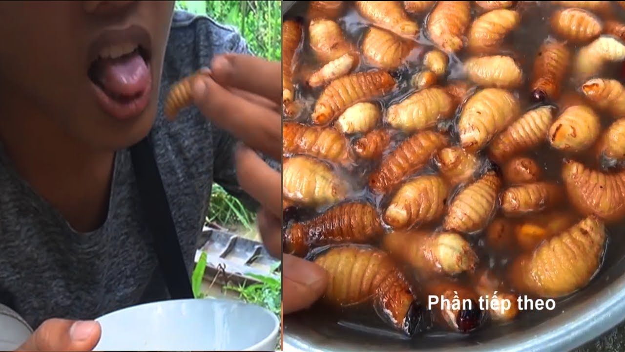 Primitive Culture: Amazing Men Find and Cooking Coconut Worms in Viet ...